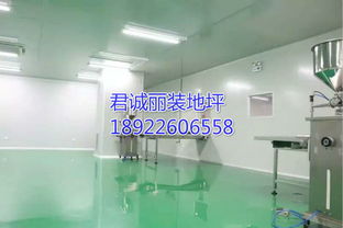 食品廠專用防霉抗菌型環氧地坪 廣東食品廠地坪施工產品圖片高清大圖